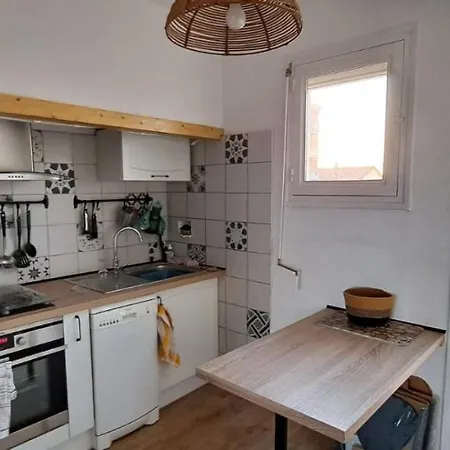 Palmier Bleu Front De *